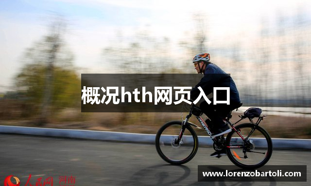 概况hth网页入口